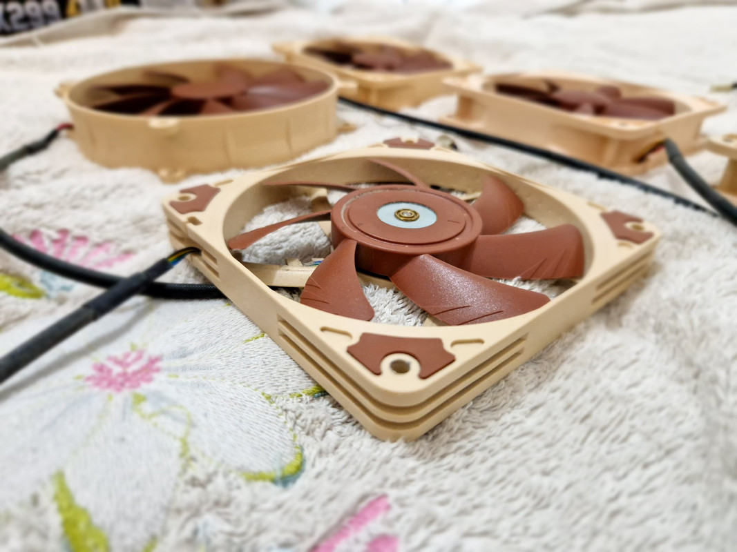 thumbnail_20250127_182057