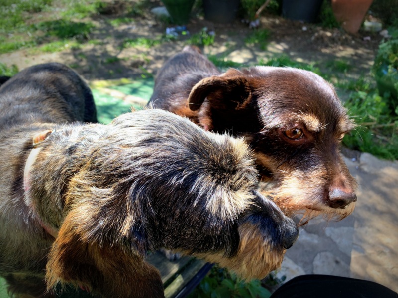 [Image: IMG-0587.jpg]