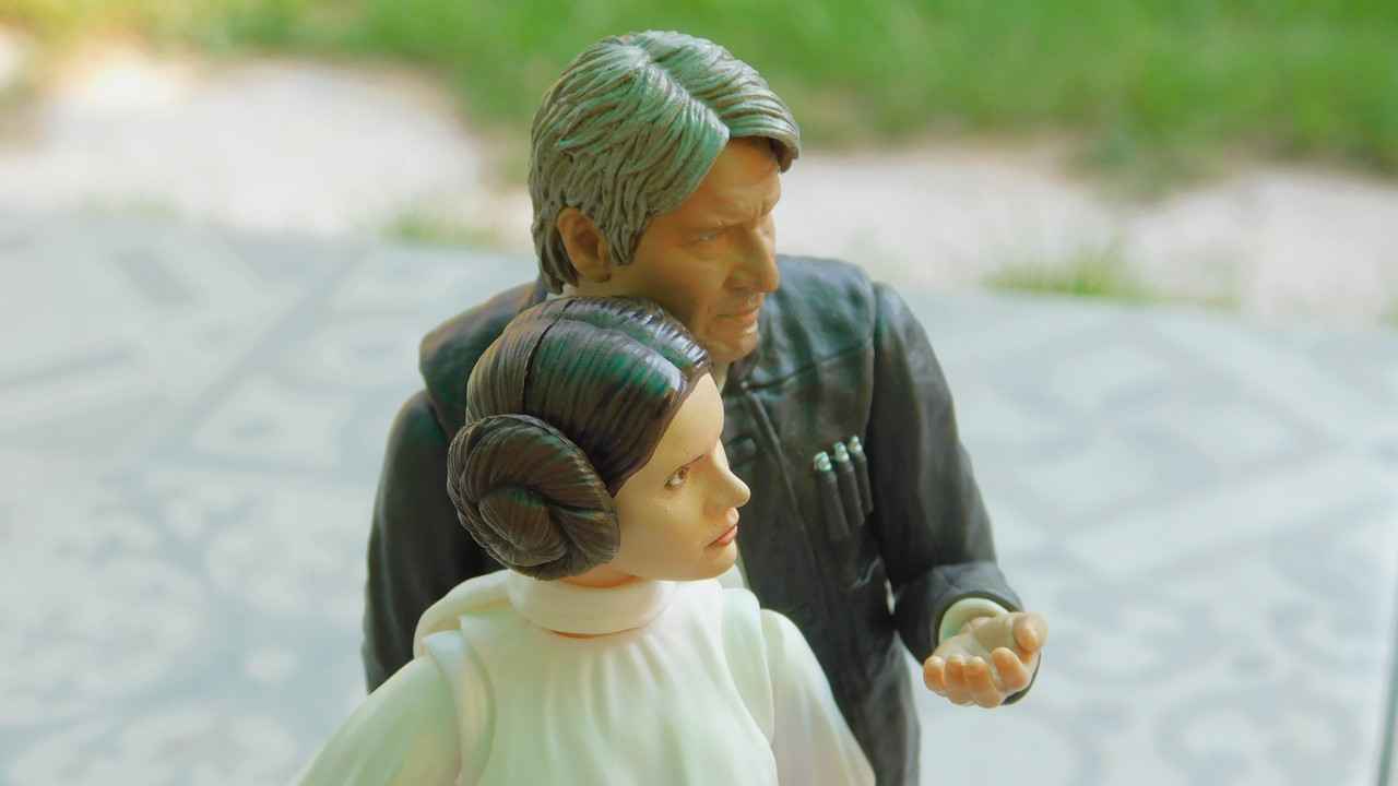 Дачно-Харлинский июнь-июль 2024 083