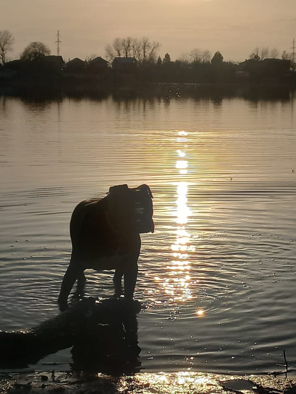 83D7DBFD-6B61-4247-B1F4-25452AE5BA50