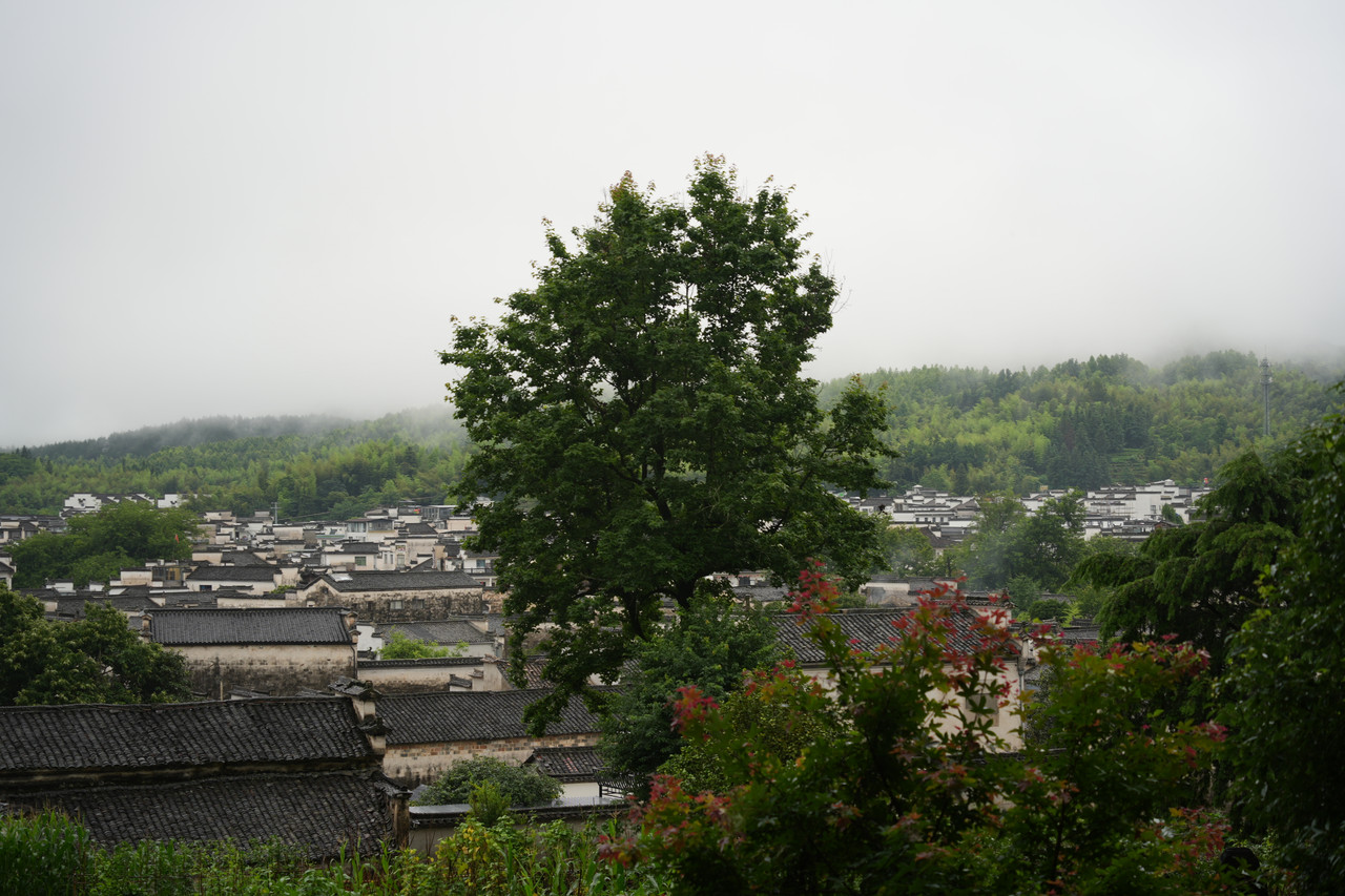 DSC01769