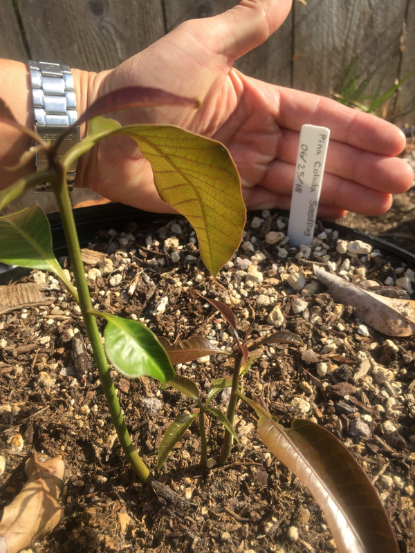 655B23BD-5C09-4DD5-B06A-D2E619F5C56D