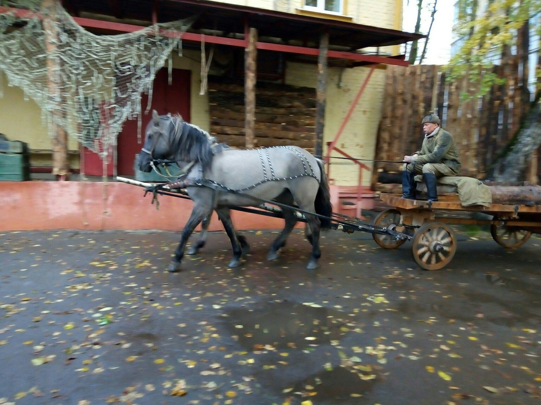 91102E19-CD12-411B-9A11-374C9F62984B