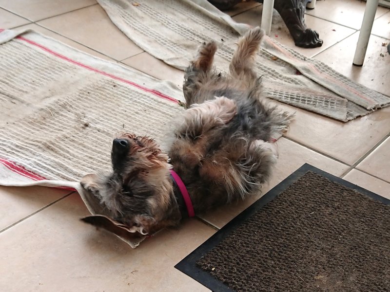 [Image: DSCPDC-0001-BURST20240507091545256.jpg]