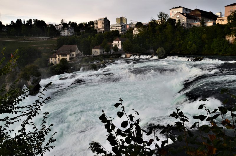 CATARATAS DEL RHIN-5-9-2019 - Suiza y sus pueblos-2019 (11)