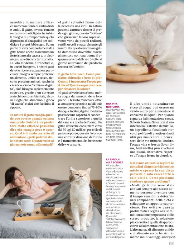 Ga Ma Feb-Mar 2022 (2)