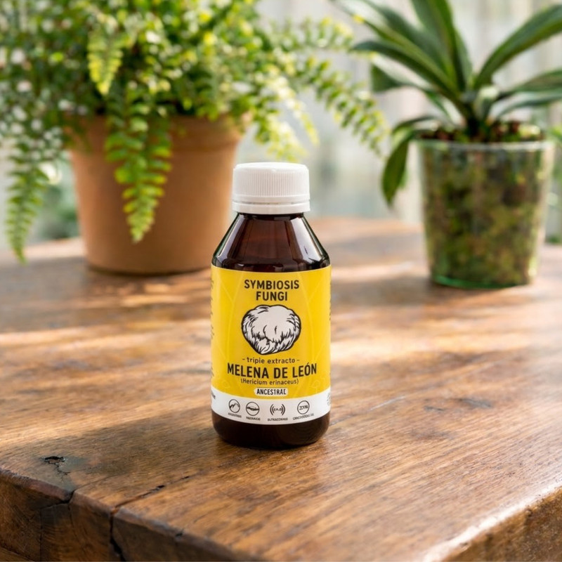EXTRACTO DE MELENA DE LEON X125ML SYMBIOSIS