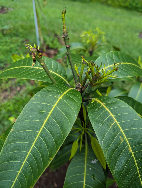 PXL_20230717_175933327