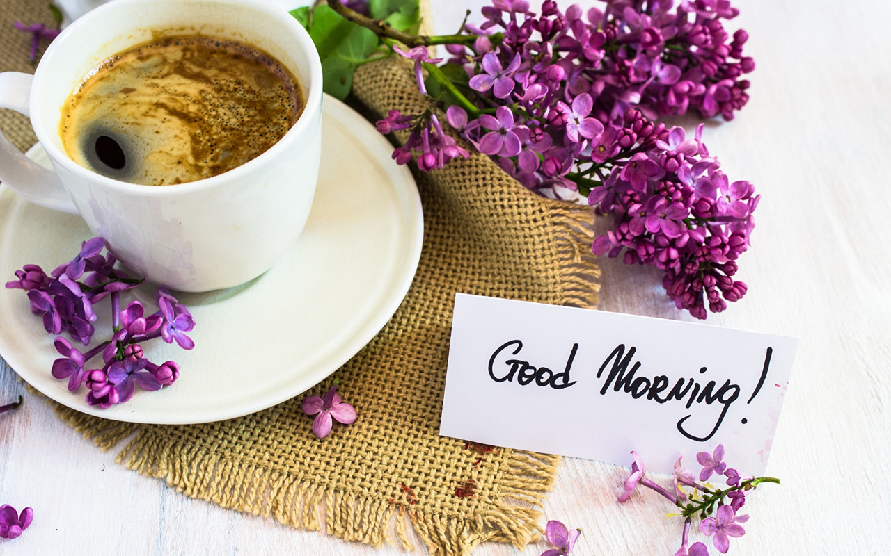 Morning-Coffee-Lilac-Cup-Word-Lettering-English-578788-1920x1200