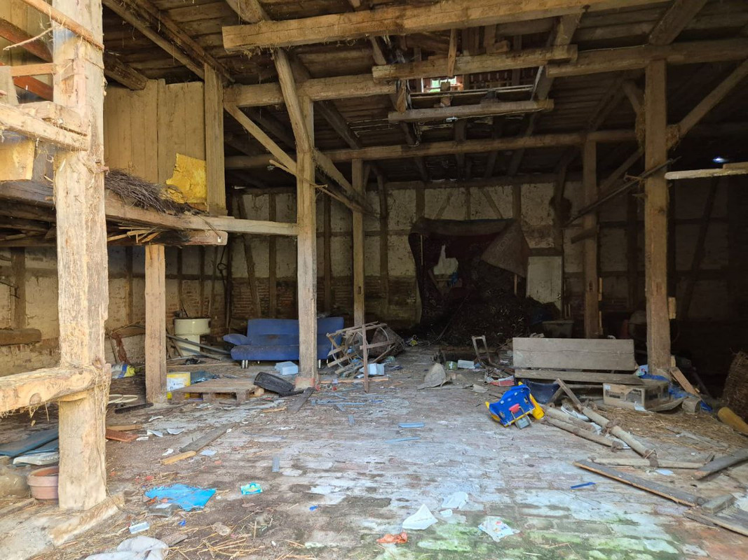 photo_5355242108765725192_y