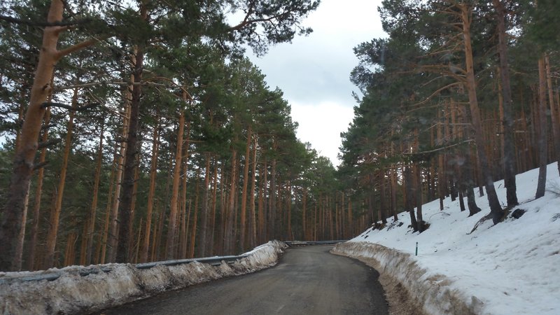 Paseando por España-1991/2016 - Blogs de España - PUERTO DE NAVACERRADA Y COTOS-2006/2009/2013/2016-MADRID (64)