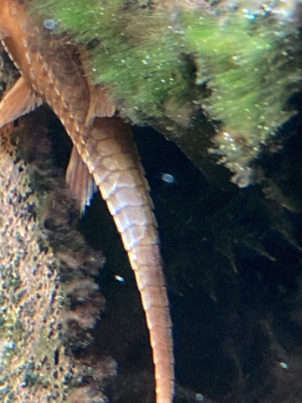 31BCE230-3850-4F9E-861A-37CCA15D0C6D