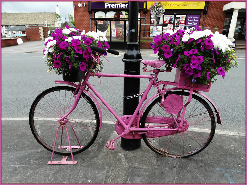 pinkbikeflowers.jpg
