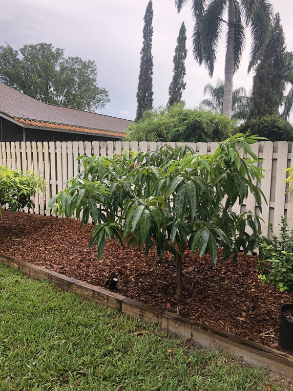 7CDBC8CA-55DB-457D-80B3-4E7112DCE317