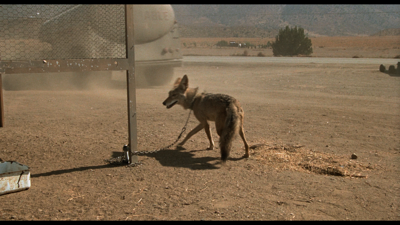 00800.mpls_snapshot_00.58.58_[2023.11.23_19.04.20]