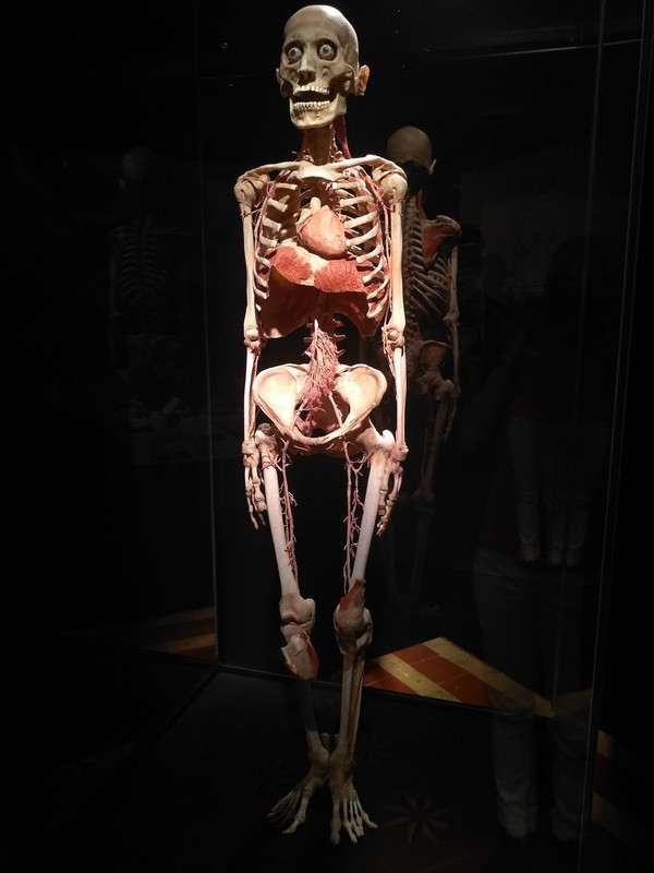 73372402_2379300095642487_7621140388367040512_n