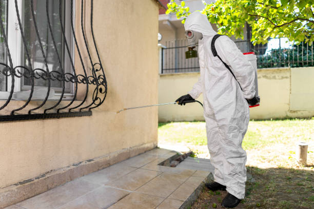 Pest Control Kissimmee