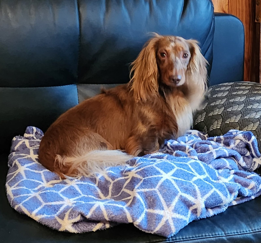 [Image: IMG-20240514-WA0005.jpg]