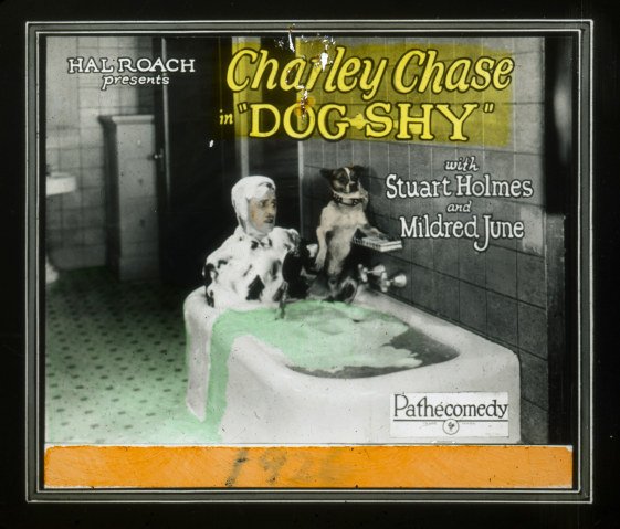 03 Dog Shy (Diapositiva cine)