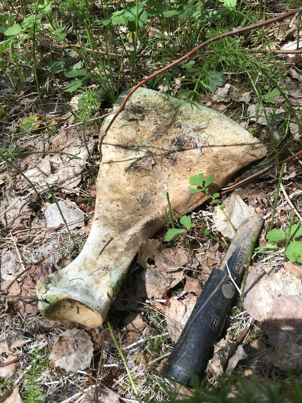 AF0A7C25-B482-45CE-85FA-89DB3A702007