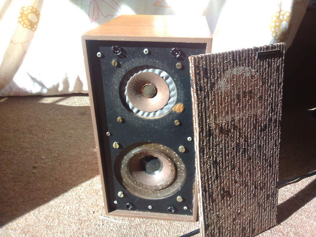 received_367009008840521