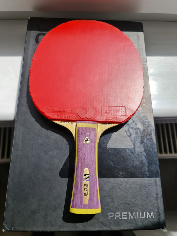 1. JOOLA ZQH SALC FL nr. 1 (2)