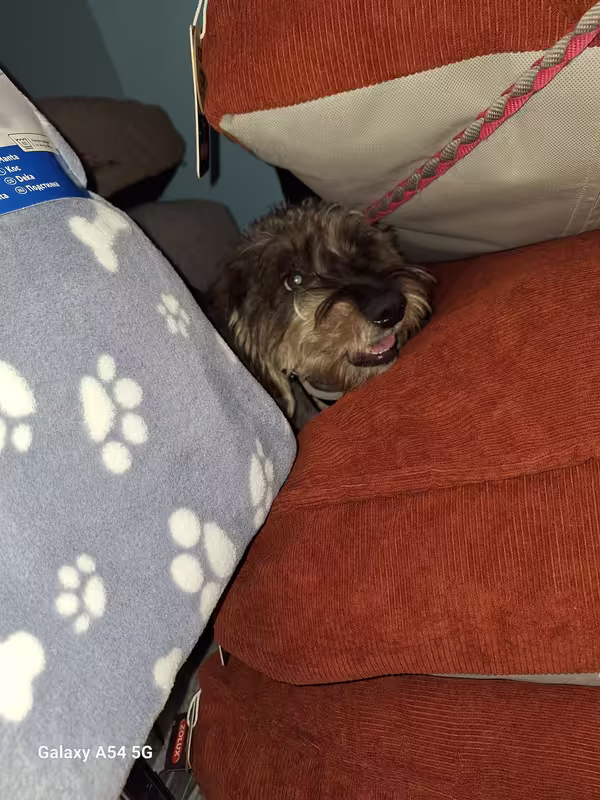 [Image: 20240824-153152.avif]