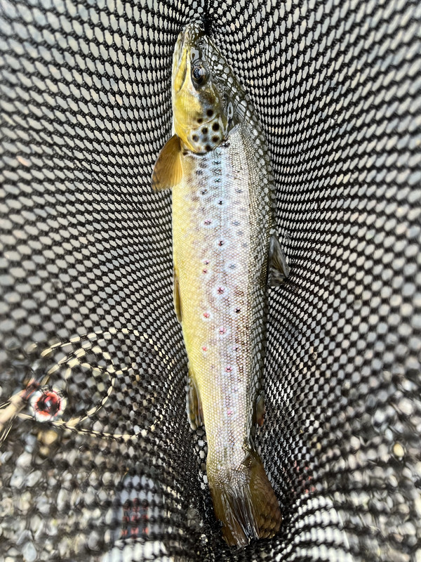 E33B9378-26E2-4762-B826-79CDE59329CD