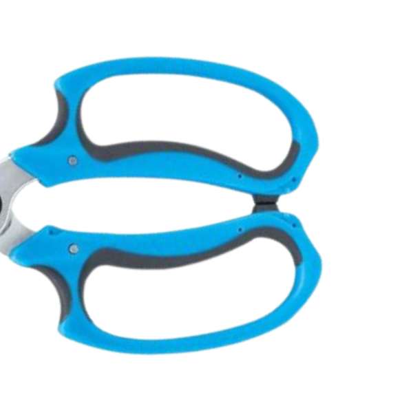 Foarfeca de Gradina - Detalii lame