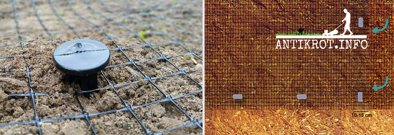 сітка від кротів