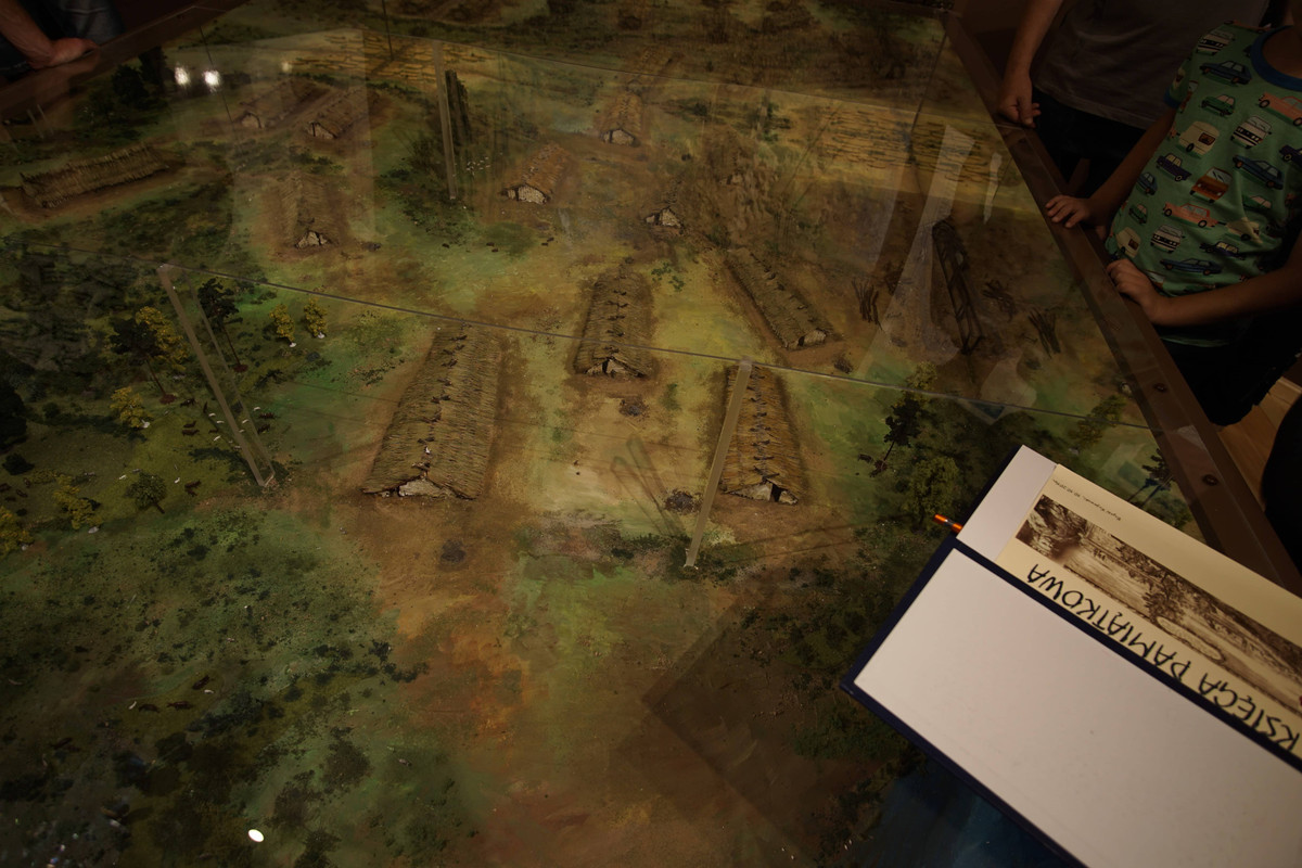 08.05 - DSC02039 (zbychowiec)