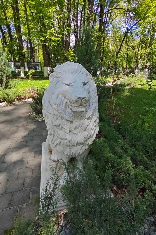 https://i.postimg.cc/9fLFgsZp/079-IMG-20250510-111246.jpg