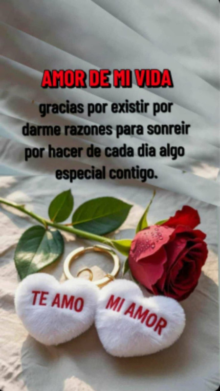 b2f7fcc9f2b825cda5cbca5cf8988424