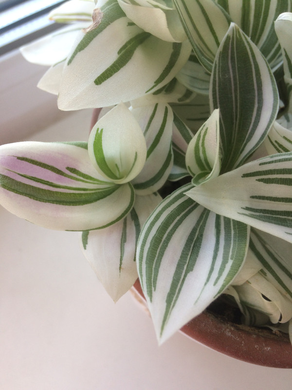 A2B3F2F5-983E-4768-8395-815947A8A3D3