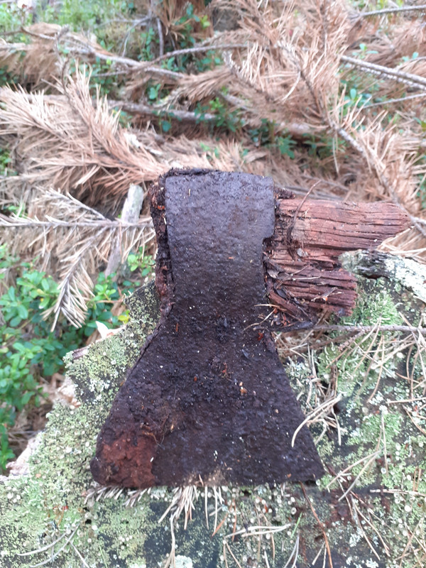 20200728_095735 – kopio