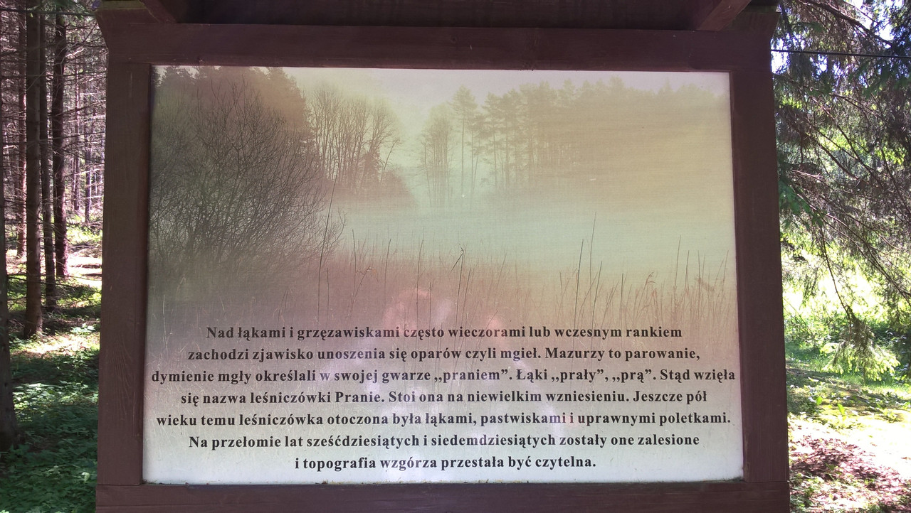 06 - WP_20160526_12_24_46_Pro (Yvonne)