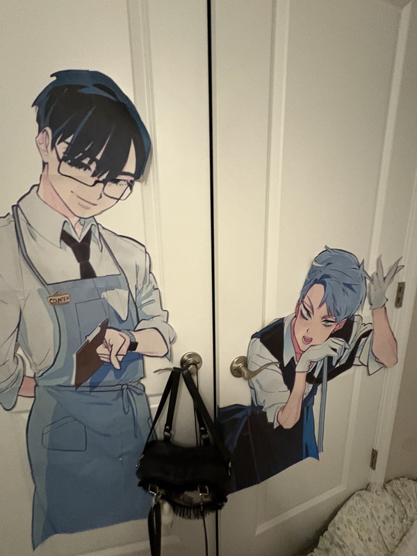 life size stuff on my closet doors