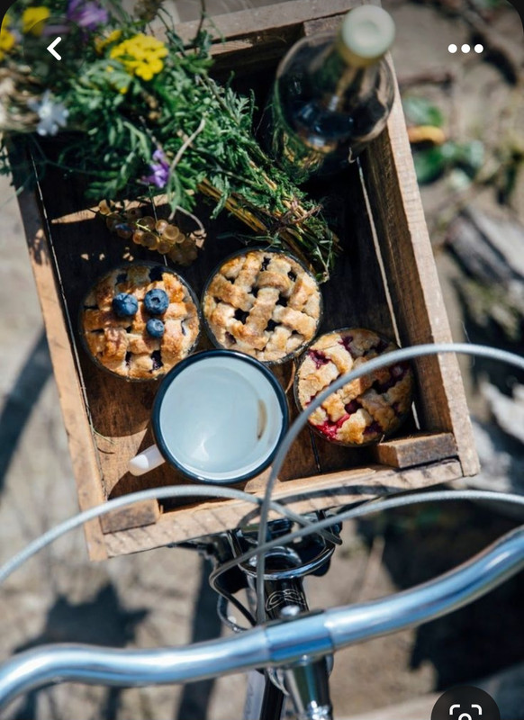 Screenshot_20230616_181916_Pinterest