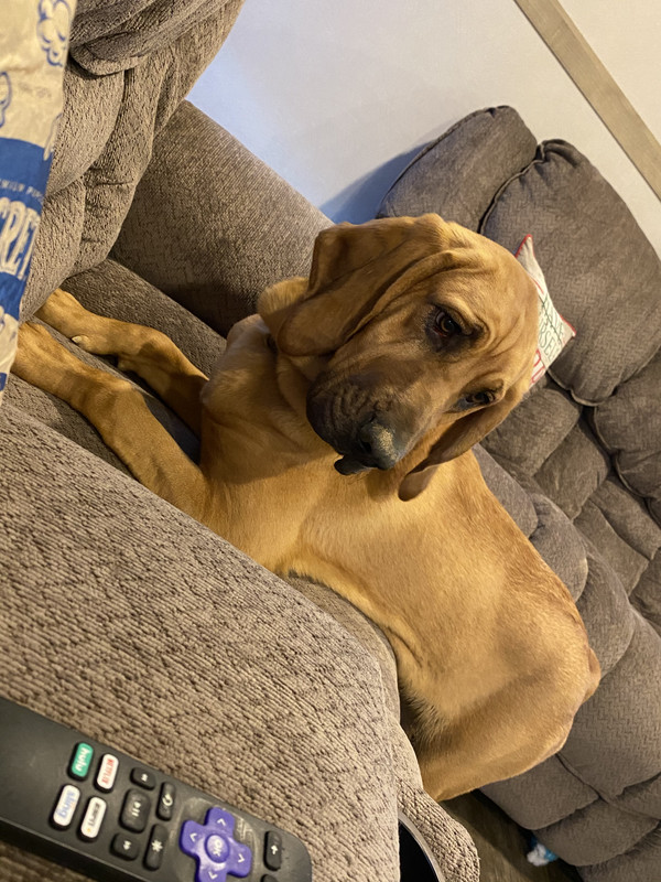 2D565053-60D1-4584-B5E6-AB459673429C