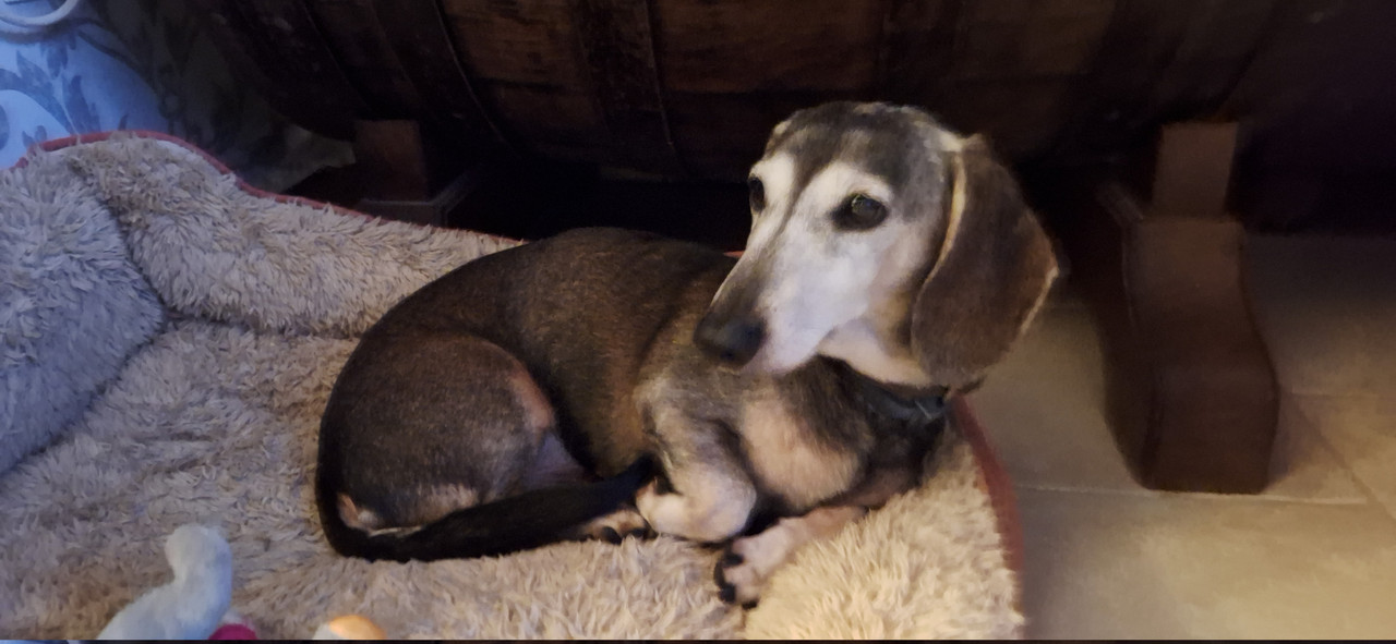 [Image: 20251124-193016.jpg]