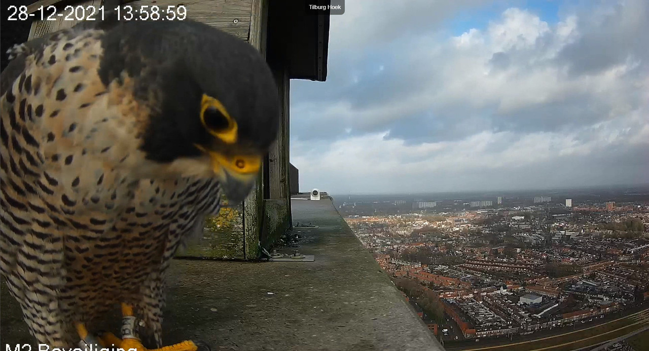 Tilburg/Westpointtoren - Pagina 2 Video-2021-12-28-135947-Moment-6