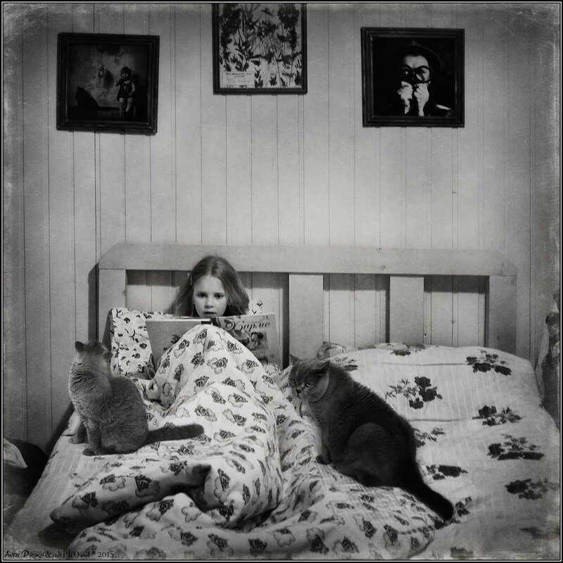 12105797-884930671573025-1738244354076240404-n