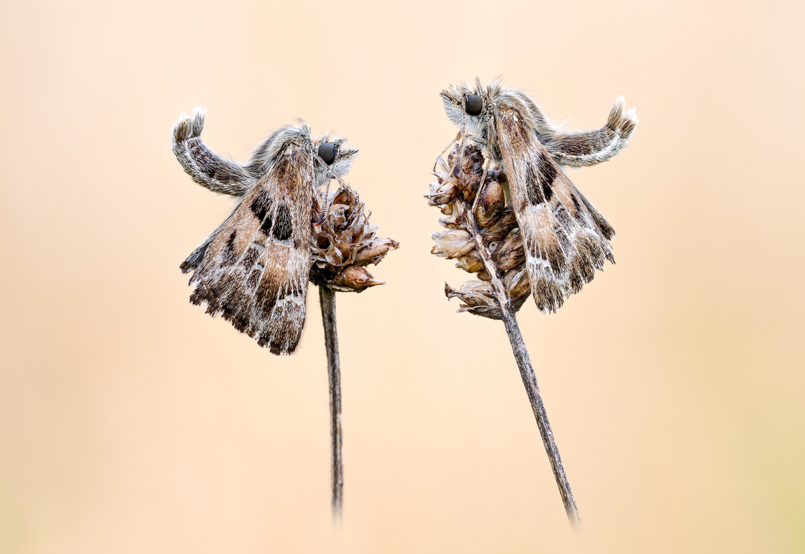 2025-08-16 11-07-27 (A,R3,S2)-2