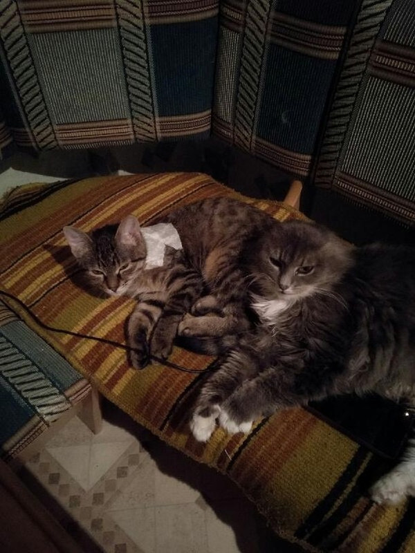 5ED2970D-90B3-4692-8BF0-C0A3E87F8616