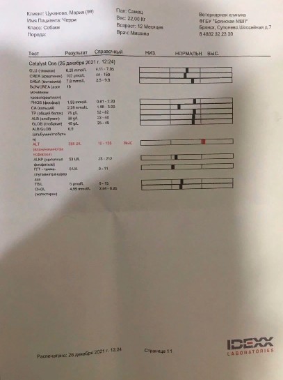 Скриншот 28-12-2021 15_31_25