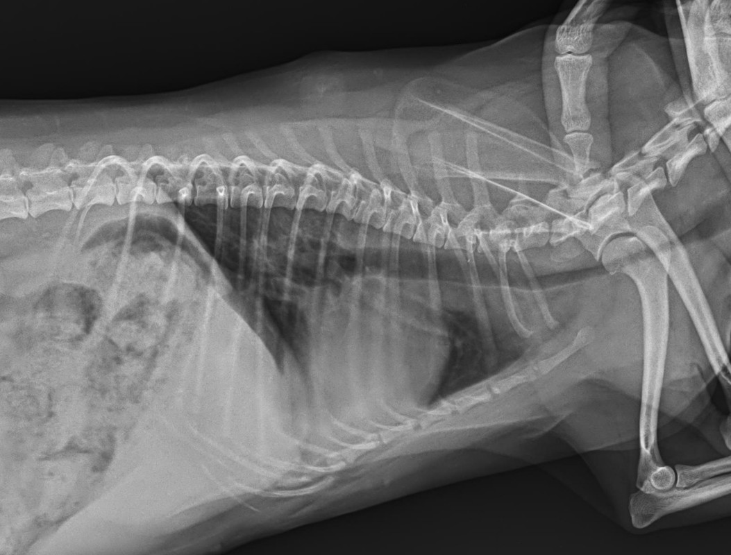 2DCC7588-645C-4E62-9285-25ECCFCD0774