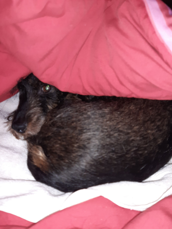 [Image: 20230119-072959.jpg]