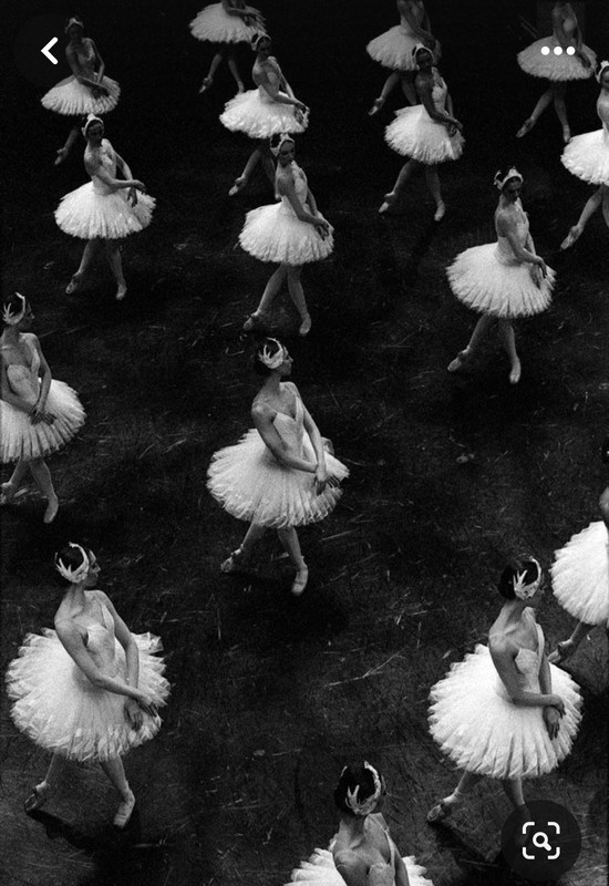 Screenshot_20240329_213129_Pinterest