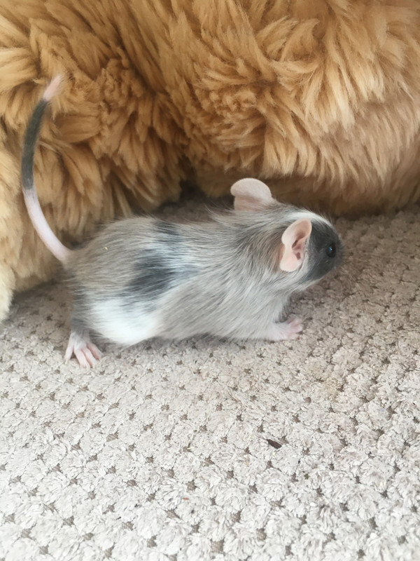 327A0AE5-31FA-4448-8226-109A7D851650