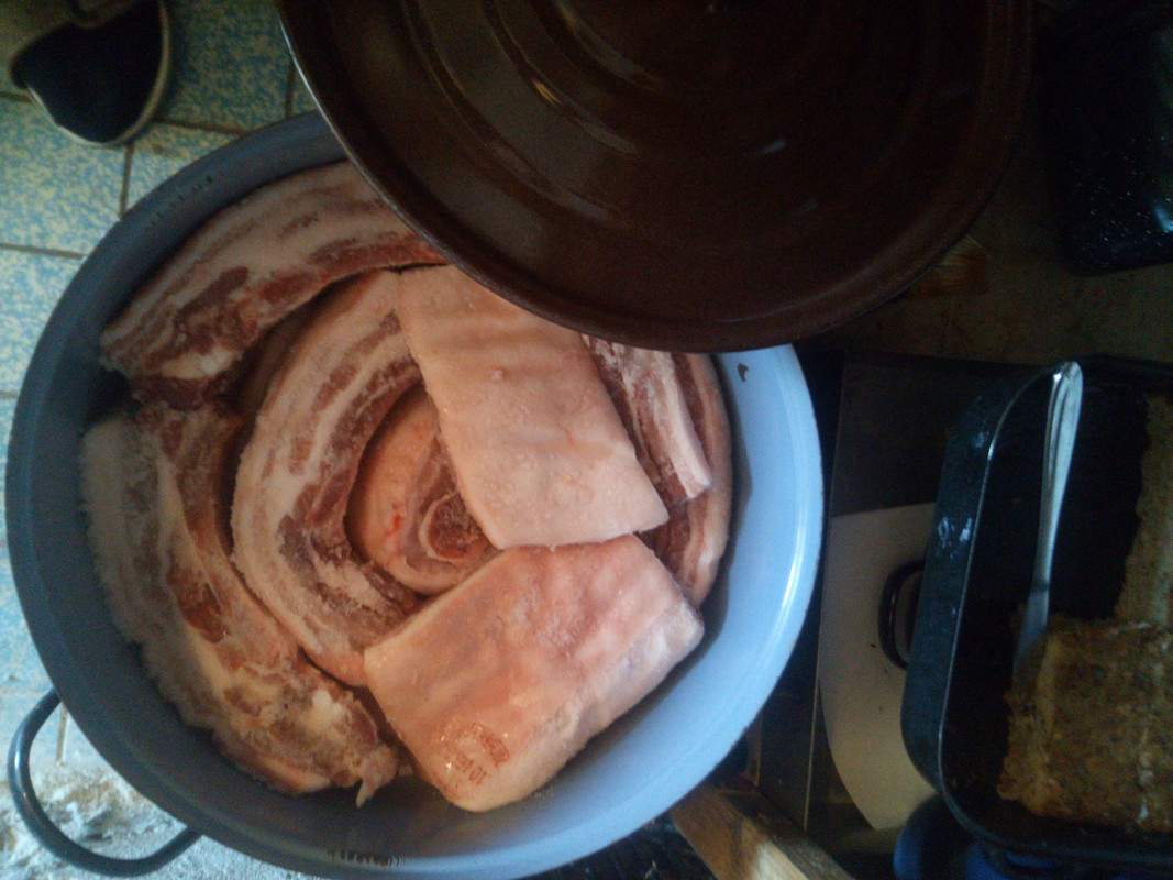 IMG_20211212_133759_9